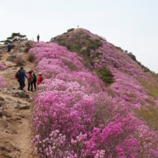 영취산