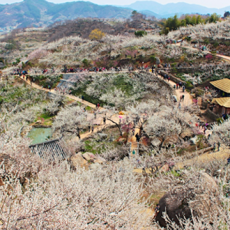 남해안남중권시티투어-광역1코스